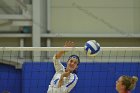 Wheaton Women's Volleyball  Wheaton Women's Volleyball vs Bridgewater State University. : Wheaton, Volleyball, BSU, Bridgewater State College